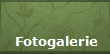 Fotogalerie