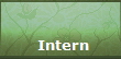 Intern