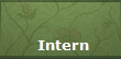 Intern